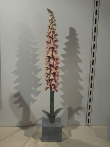 Digitalis purpurea